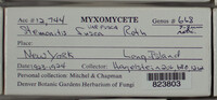 Image Associated With the Occurence
